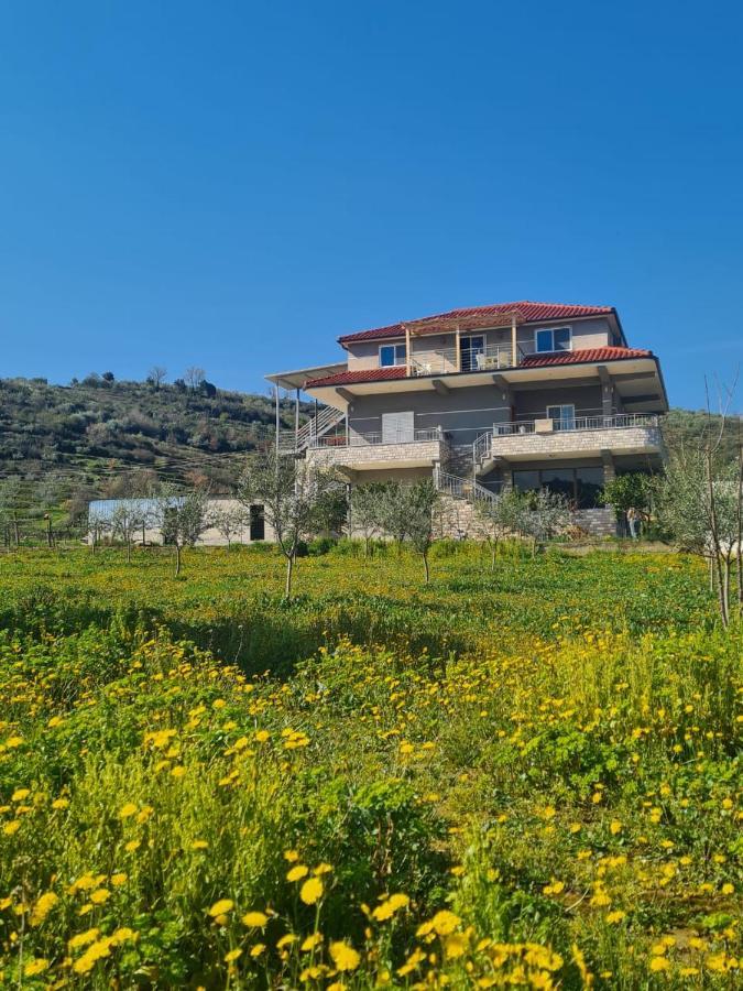 Guest House Ilir Berat Ngoại thất bức ảnh